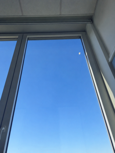 Professionnelle Fensterreinigung Streifenfreie Fenster